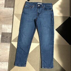 Levi's Boyfriend Fit Jeans Women's Size 28